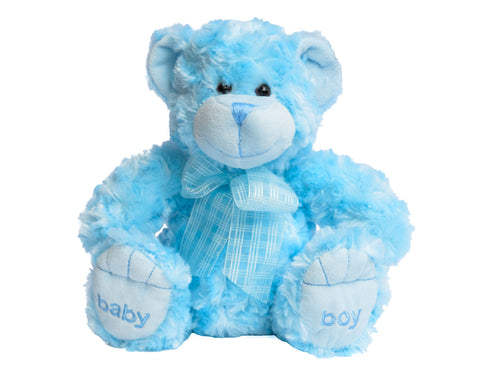 Baby Boy Teddy Bear